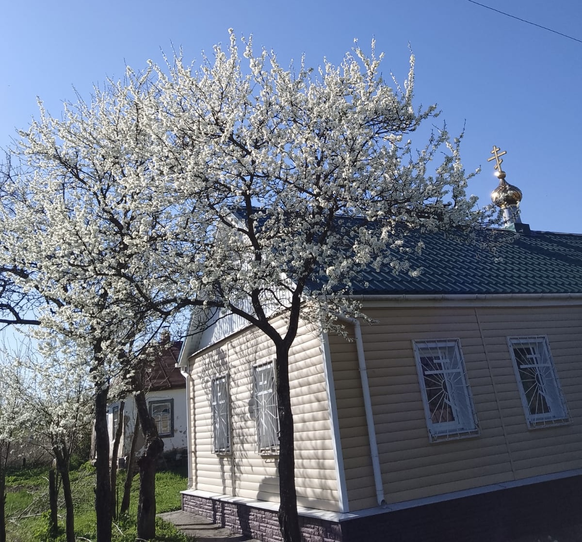 Местная религиозная организация  Свято-Андрониковский мужской монастырь Истинно-Православной традиции